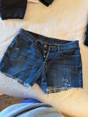 Lucky Brand Blue Distressed Denim Jean Shorts